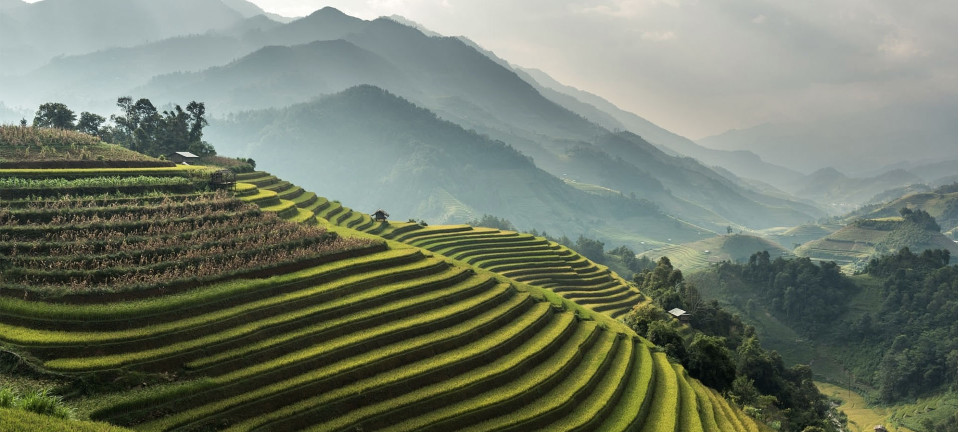 Berapa Harga Tanah di Bali? Simak Tips dan Trik untuk Bisa Punya Tanah di Bali